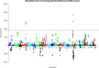 Locating a novel autosomal recessive genetic variant in the cattle glucokinase gene using only WGS data from three cases and six carriers